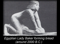 Egyptian woman forming bread loaf