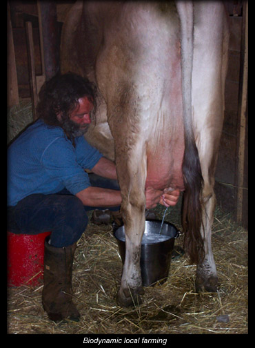 Biodynamic local farming