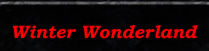 Winter Wonderland