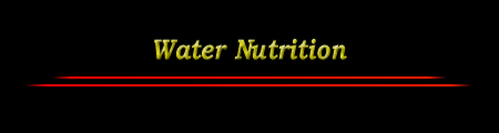 Water Nutrition