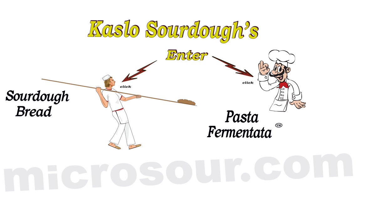 Click for Microsour or Pasta Fermentata